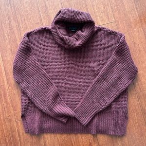 Sanctuary turtleneck sweater